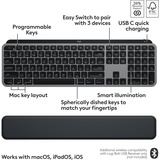 Logitech MX Keys S Combo for Mac draadloze desktopset Grijs, US-International lay-out (QWERTY), 100%, Bluetooth Low Energy