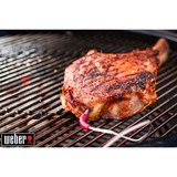 Weber iGrill 2 thermometer 