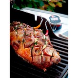 Weber iGrill 2 thermometer 