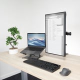 ACT Connectivity Essentials monitorarm 34" Zwart