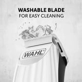 Wahl Home Products Color Trim baardtrimmer Zwart/zilver