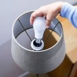 WiZ Lamp A60 E27 x2 led-lamp Wifi + Bluetooth protocol, 2 stuks