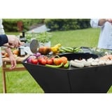 Barbecook Nestor Original zwart houtbarbecue Zwart