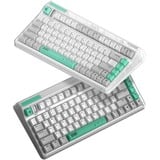 Iqunix OG80 Wormhole Wireless Mechanical Keyboard Grijs, US lay-out (QWERTY), Cherry MX Red, 80% (TKL)	, RGB leds, Hot-swappable, PBT, 2.4GHz | Bluetooth 5.1 | USB-C