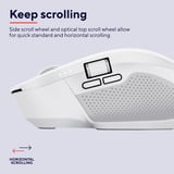 Trust Ozaa+ Draadloze Muis Zijscrollwiel Oplaadbaar  Wit, 800-3200 Dpi, 2.4GHz, 2x Bluetooth