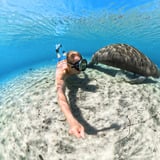 Insta360 X5 Invisible Dive Case onderwaterbehuizing Transparant