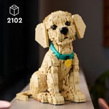 LEGO Icons - Golden retriever puppy Constructiespeelgoed 11384