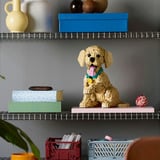 LEGO Icons - Golden retriever puppy Constructiespeelgoed 11384