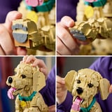 LEGO Icons - Golden retriever puppy Constructiespeelgoed 11384