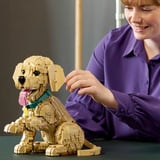LEGO Icons - Golden retriever puppy Constructiespeelgoed 11384