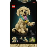 LEGO Icons - Golden retriever puppy Constructiespeelgoed 11384