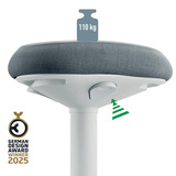 Leitz Ergo Wiebelkruk met Gasveer (57 - 82 cm) stoel Grijs