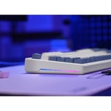 Trust GXT 872 Xyra Mechanisch TKL-gamingtoetsenbord Wit, US lay-out (QWERTY), Leobog Seiya, 80% (TKL)	, RGB, hot swap