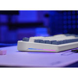 Trust GXT 872 Xyra Mechanisch TKL-gamingtoetsenbord, gaming toetsenbord Wit, US lay-out, Leobog Seiya, 80% (TKL), RGB, hot swap