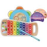 VTech 2 in 1 Regenboogxylofoon Muziekinstrument vanaf 1,5 jaar