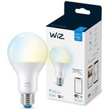 WiZ Lamp A67 E27 ledlamp Wifi + Bluetooth protocol