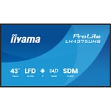 iiyama ProLite LH4375UHS-B2AG 42.5" 4K Ultra HD Public Display Zwart (mat), 3x HDMI | 1x DisplayPort | LAN | WiFi | 24/7