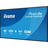 iiyama ProLite LH4375UHS-B2AG 42.5" 4K Ultra HD Public Display Zwart (mat), 3x HDMI | 1x DisplayPort | LAN | WiFi | 24/7