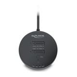 DeLOCK USB-C M.2 dockingstation voor 2x M.2 NVMe PCIe SSD Zwart, met kloonfunctie