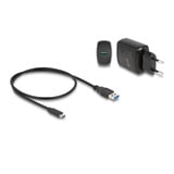 DeLOCK USB-C M.2 dockingstation voor 2x M.2 NVMe PCIe SSD Zwart, met kloonfunctie