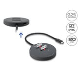 DeLOCK USB-C M.2 dockingstation voor 2x M.2 NVMe PCIe SSD Zwart, met kloonfunctie