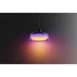 Govee Pendant Light verlichting Zwart
