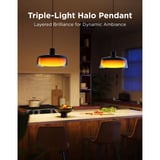 Govee Pendant Light verlichting Zwart