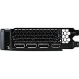 Palit GeForce RTX 5060 Dual grafische kaart DLSS 4, 3x DisplayPort, 1x HDMI 2.1