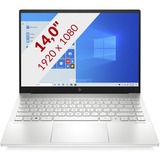 HP Envy 14-eb0100nd (301Z4EA) 14" laptop Zilver | 512 GB SSD | Wifi 6 | Win 10 Home