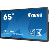 iiyama ProLite TE6504MIS-B3AG 65" 4K Ultra HD Public Display Zwart, 4K UHD, VGA, HDMI, USB, LAN, WiFi, Audio, Touch
