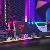Patriot Viper Venom RGB 32 GB DDR5-6000 (2x 16 GB) werkgeheugen Zwart, PVVR532G600C36K, XMP 3.0