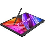 ASUS ProArt PA169CDV 16" 4K Ultra HD touchscreen monitor Zwart, 1x HDMI, 2x USB-C