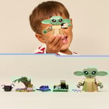 LEGO Star Wars - Grogu's thuis Constructiespeelgoed 75443