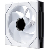 Lian Li UNI FAN SL-INF FLEX RGB case fan Wit, 120 x 124 x 28 mm, PWM