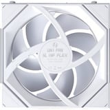 Lian Li UNI FAN SL-INF FLEX RGB case fan Wit, 120 x 124 x 28 mm, PWM