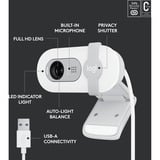 Logitech Brio 100 webcam Wit