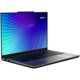 Medion Signium 14 S1 MD600002 NL 14"  laptop Grijs | Core 5 120U | Intel Graphics | 16 GB | 512 GB SSD | OLED