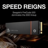 Seagate FireCuda 530 500 GB met heatsink SSD Zwart, ZP500GM3A023, PCIe 4.0 x4, NVMe 1.4, M.2 2280