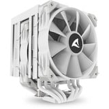 Sharkoon A60 RGB cpu-koeler Wit, 4-pins PWM fan-connector