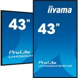 iiyama ProLite LH4360UHS-B1AG 43" 4K Ultra HD Public Display Zwart (mat), HDMI, WiFi, USB, Audio, Android 