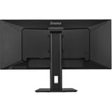 iiyama ProLite XUB3493WQSU-B6 34" UltraWide monitor Zwart (mat), 120 Hz, HDMI, DisplayPort, Audio, USB