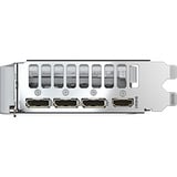 GIGABYTE GeForce RTX 5060 EAGLE OC ICE 8G grafische kaart 3x DisplayPort, 1x HDMI, DLSS 4