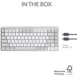 Logitech MX Mechanical Mini voor Mac, toetsenbord Lichtgrijs, US lay-out, Cherry MX-Technologie