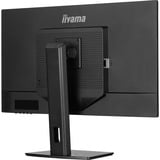 iiyama ProLite XB3270QSU-B1 31.5" monitor Zwart, 100Hz, HDMI, DisplayPort, USB, Adaptive Sync