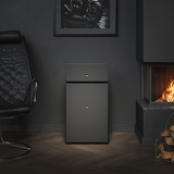 Audio Pro Drumfire II W luidspreker Zwart, Bluetooth 4.2, WiFi