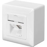 Digitus Data Wallmount CAT 6 opbouw montagedoos Wit, 2x RJ-45