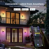 Govee Smart Outdoor Wall light verlichting 2700-6500K, Matter