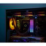 KLEVV 64 GB DDR5-6000 (2x 32 GB) Kit werkgeheugen Zwart, KD5BGUA80-60A300G, CRAS V RGB, XMP 3.0, EXPO