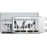 GIGABYTE GeForce RTX 5090 AORUS STEALTH ICE 32G grafische kaart DLSS 4, 3x DisplayPort, 1x HDMI 2.1