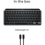 Logitech MX Keys Mini For Mac, toetsenbord Grijs/zwart, US-International, Bluetooth Low Energy